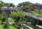 Colinton NSWlandscape-gardener-19.jpg; ?>