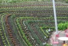 Colinton NSWpermaculture-5.jpg; ?>