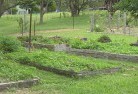 Colinton NSWpermaculture-8.jpg; ?>